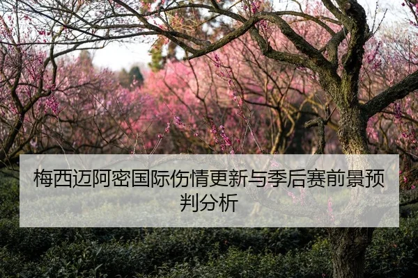 梅西迈阿密国际伤情更新与季后赛前景预判分析